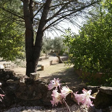 Agroturismo Casa Do Vale Sao Pedro de Tomar