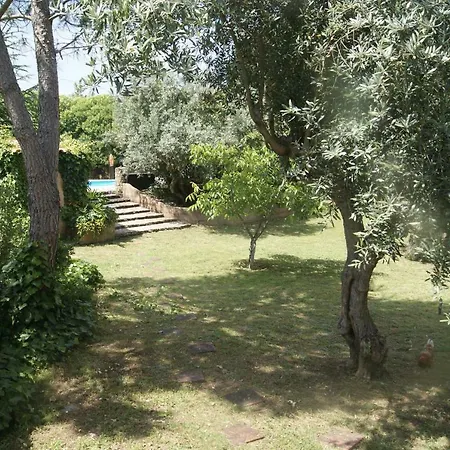 Casa Do Vale * Sao Pedro de Tomar