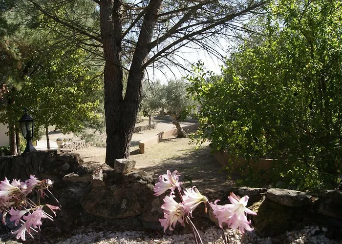 Vakantieboerderij Casa Do Vale Sao Pedro de Tomar