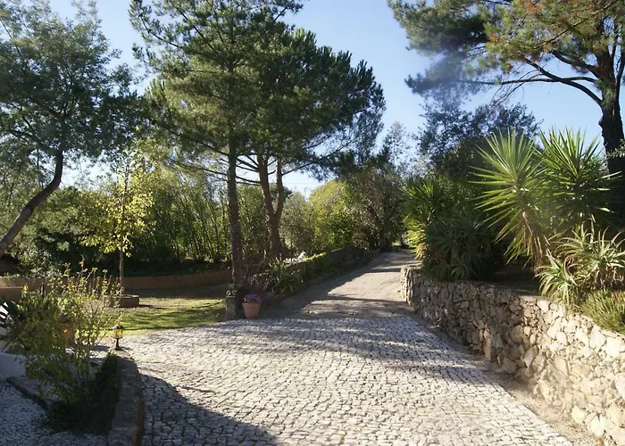 Lantgård Casa Do Vale Sao Pedro de Tomar