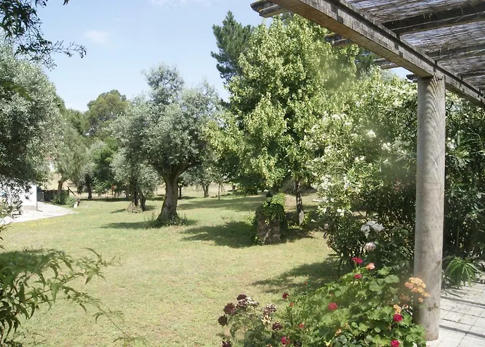 Casa Do Vale * Sao Pedro de Tomar